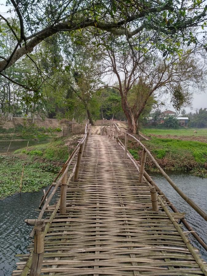 Yagdrasill Bamboo Cottage Bamungaon Exteriér fotografie