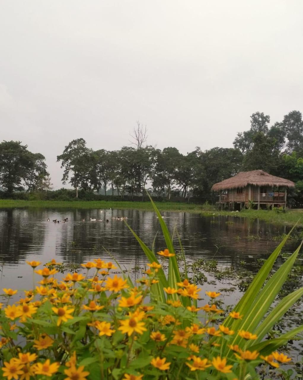 Yagdrasill Bamboo Cottage Bamungaon Exteriér fotografie